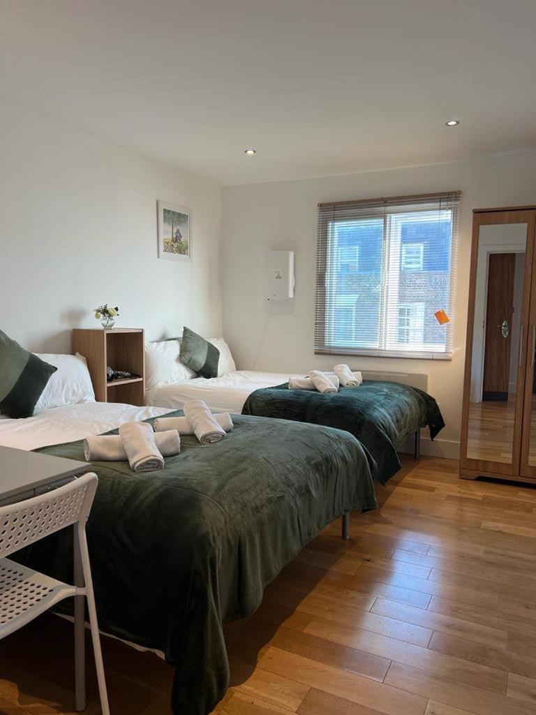 Cosy Private Rooms Near Euston Station, Central London Kültér fotó