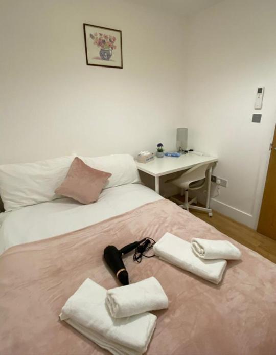 Cosy Private Rooms Near Euston Station, Central London Kültér fotó